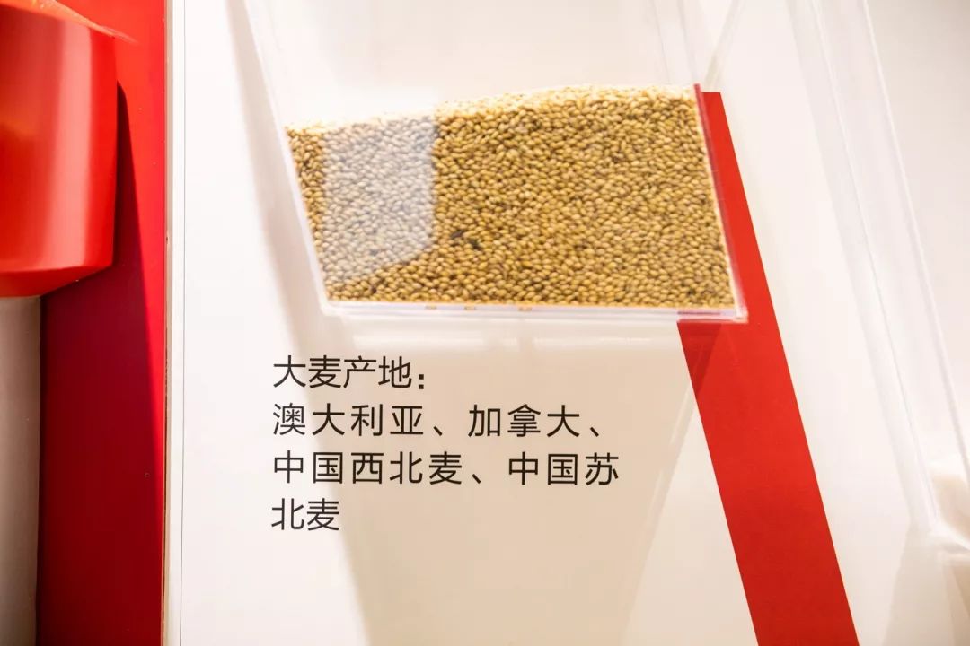 報(bào)告:我想去百威中國那個啤酒展覽館打卡品美酒佳肴|國潮范這么閃 - 第49張 - 會展活動策劃CCASY.COM 報(bào)告:我想去百威中國那個啤酒展覽館打卡品美酒佳肴|國潮范這么閃 - 第49張