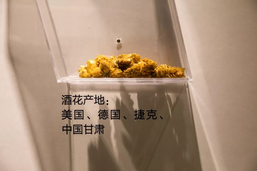 報(bào)告:我想去百威中國那個啤酒展覽館打卡品美酒佳肴|國潮范這么閃 - 第50張 - 會展活動策劃CCASY.COM 報(bào)告:我想去百威中國那個啤酒展覽館打卡品美酒佳肴|國潮范這么閃 - 第50張