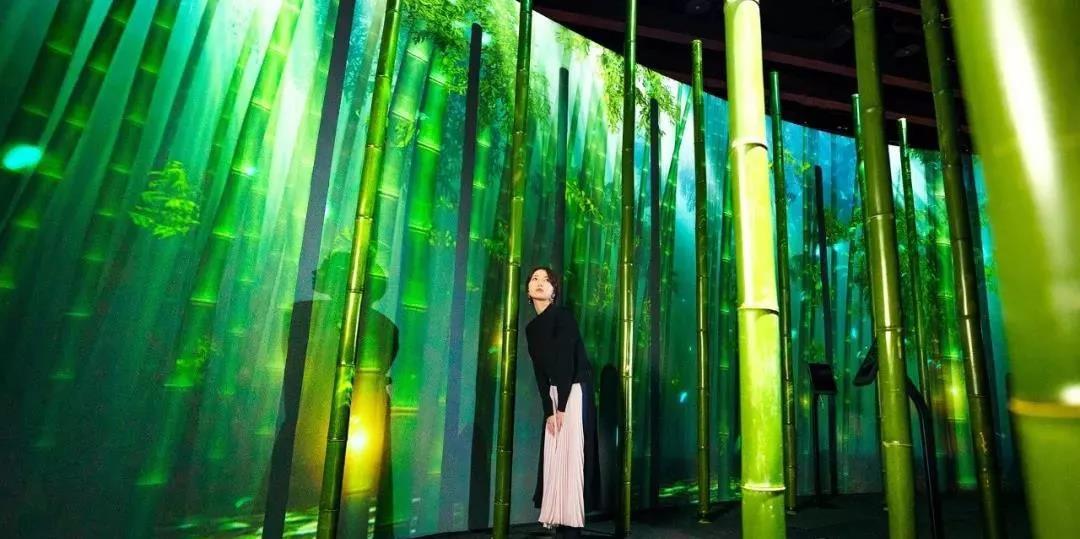 沉浸式的櫻花展覽策劃驚艷了廣大游客的目光，光影互動太厲害了！