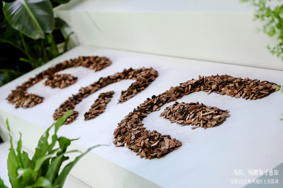 全新EQE杭州上市活動(dòng)策劃打破常規(guī)，從未來(lái)研習(xí)官的鏡頭體驗(yàn)全新秘境